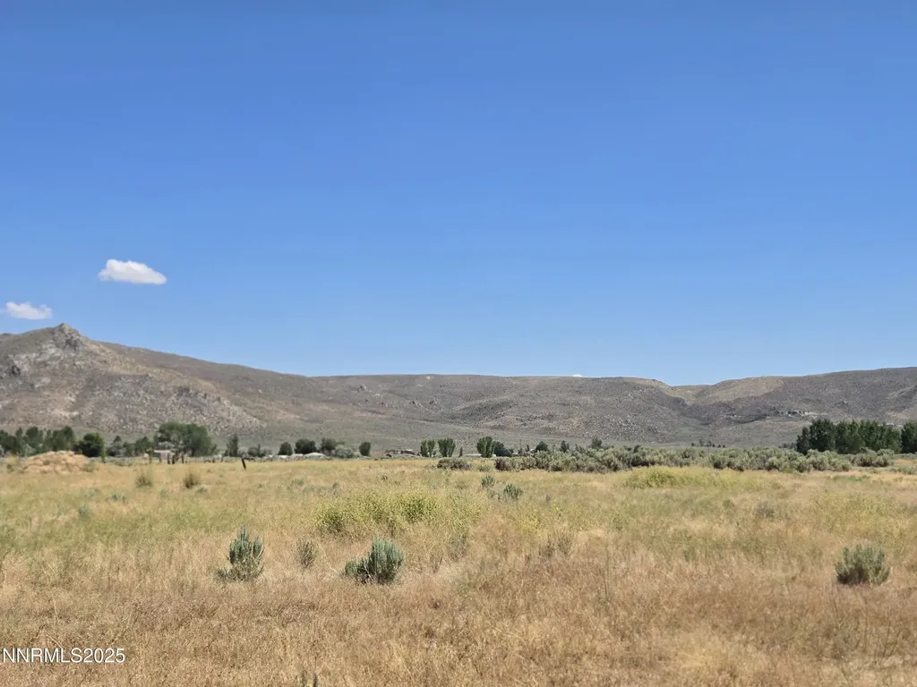 40 Cowhide Reno NV 89508