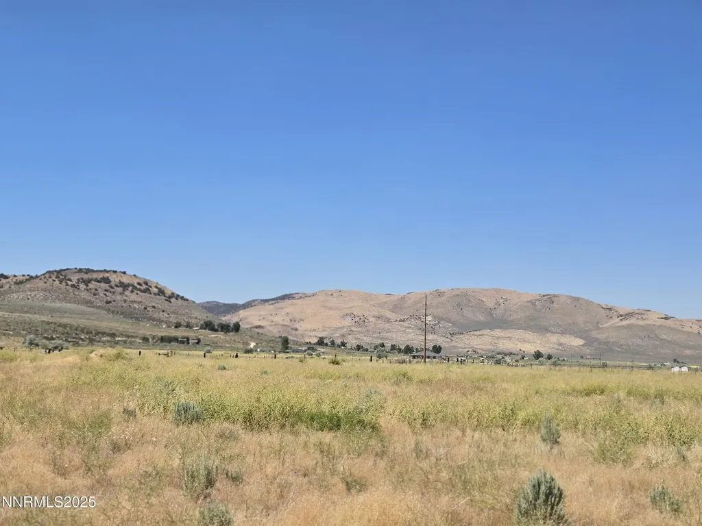 40 Cowhide Reno NV 89508