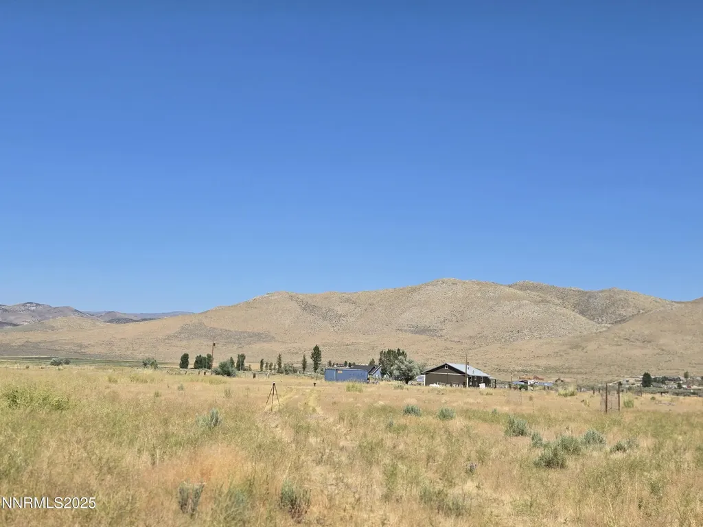 40 Cowhide Reno NV 89508