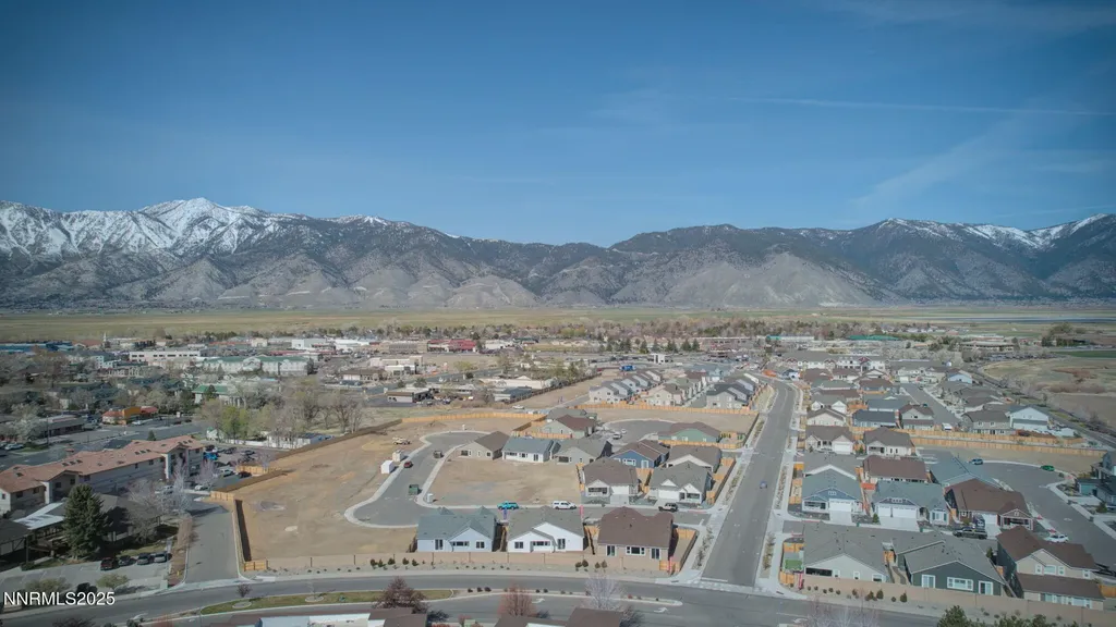 1608 Delta Downs Minden NV 89423