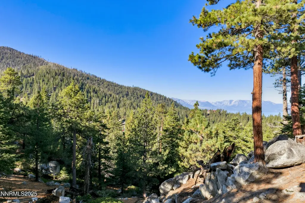 767 Little Dipper Stateline NV 89449