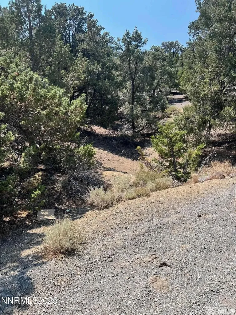2070 Alpine Reno NV 89521