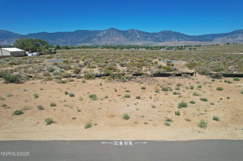 1537 High Point Minden NV 89423