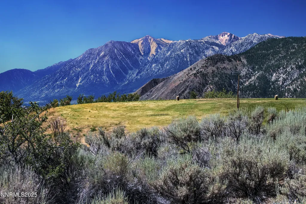 343 James Canyon Genoa NV 89411