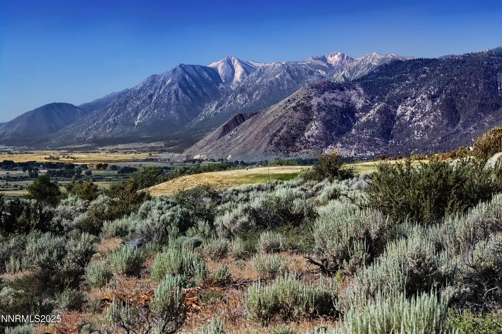 343 James Canyon Genoa NV 89411