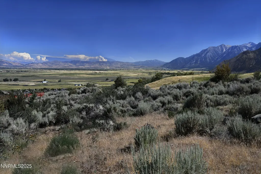 343 James Canyon Genoa NV 89411