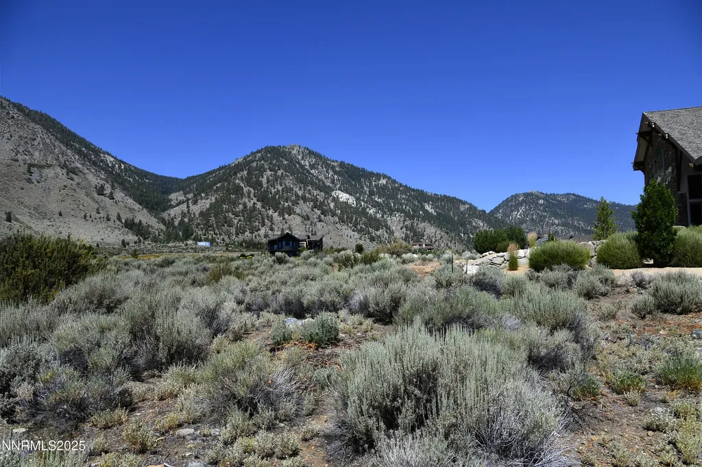 343 James Canyon Genoa NV 89411