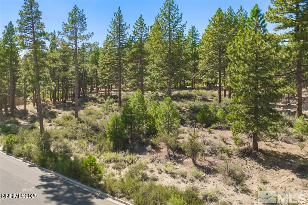 20585 Margaux Reno NV 89511