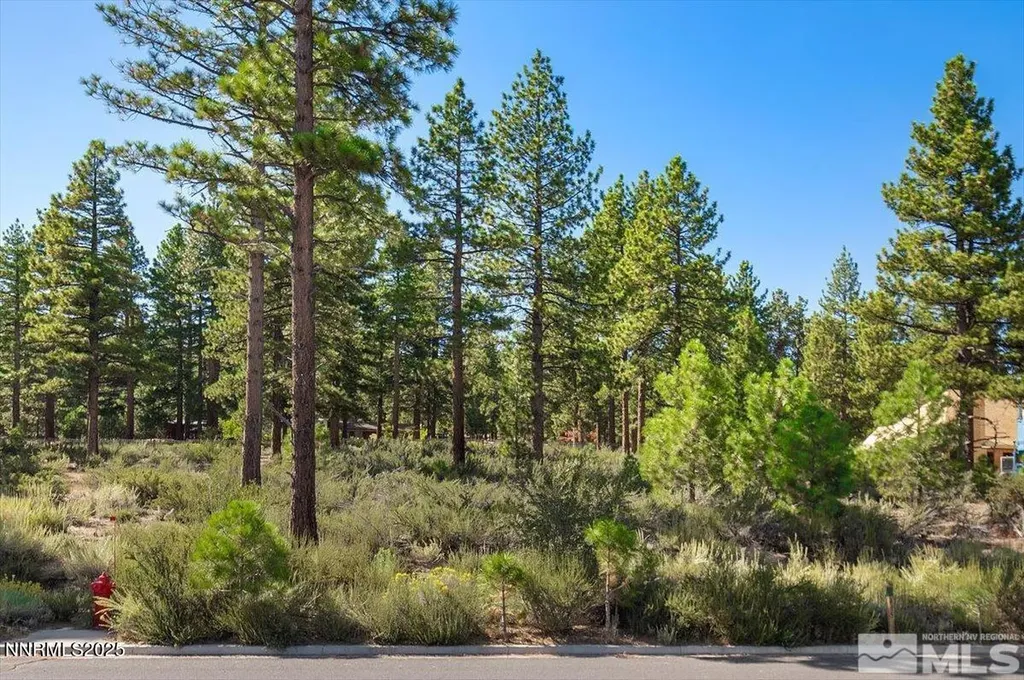 20585 Margaux Reno NV 89511