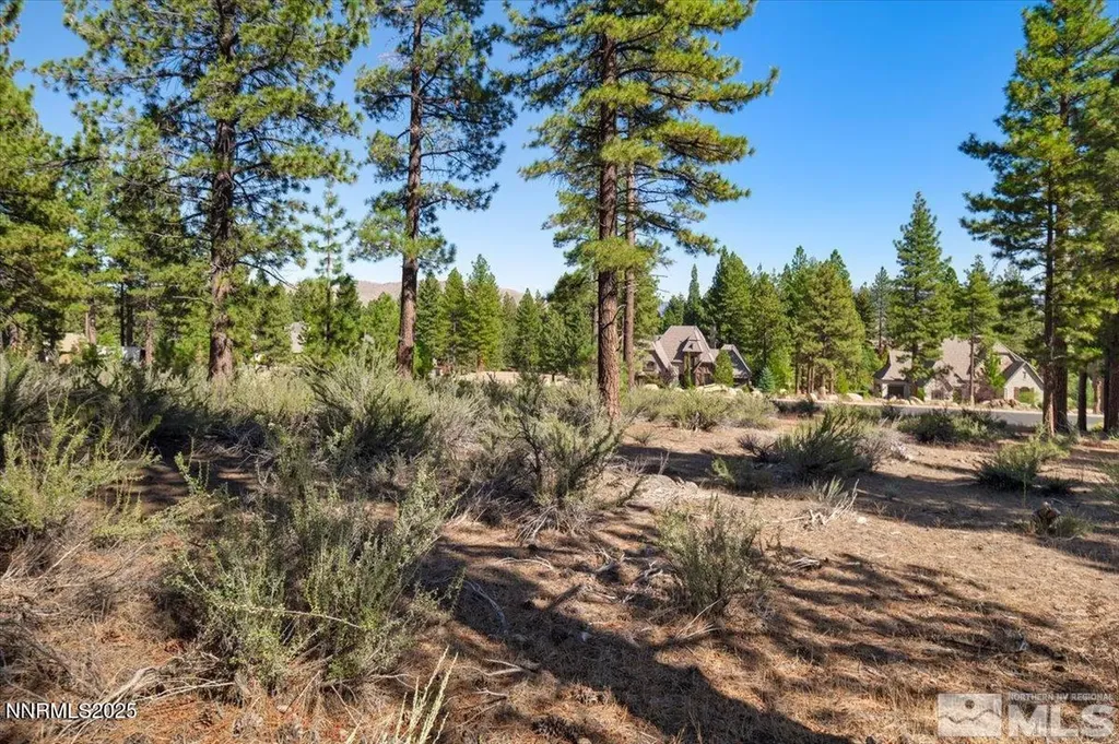 20585 Margaux Reno NV 89511