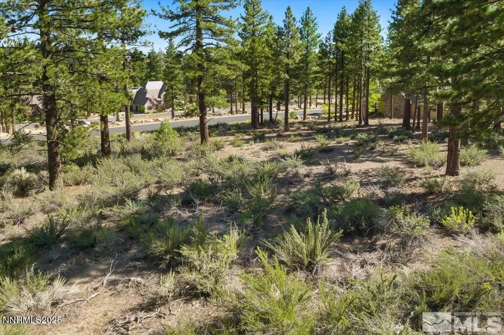 20585 Margaux Reno NV 89511