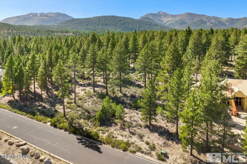 20585 Margaux Reno NV 89511