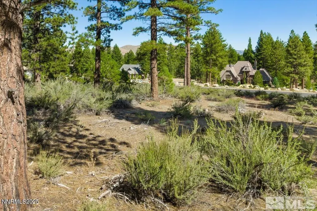 20585 Margaux Reno NV 89511