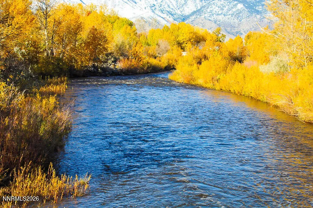 1100 Wyatt Gardnerville NV 89460