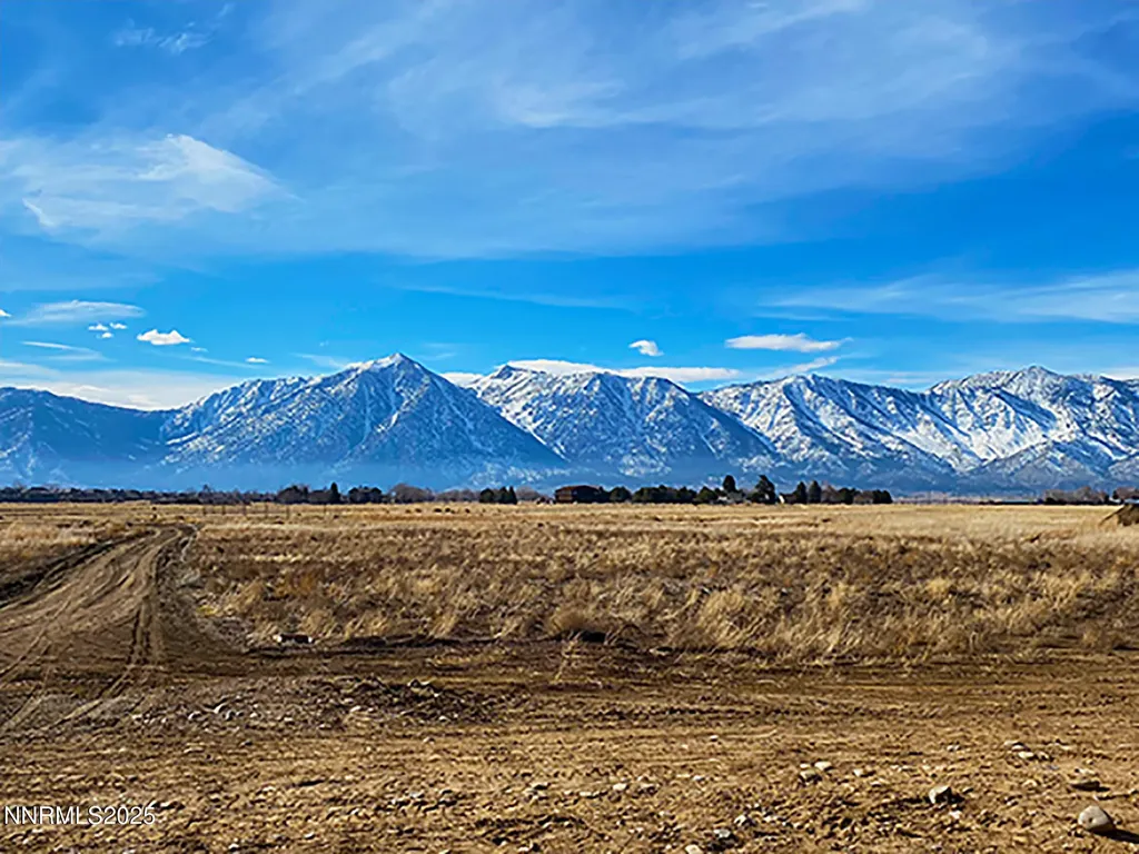 1100 Wyatt Gardnerville NV 89460