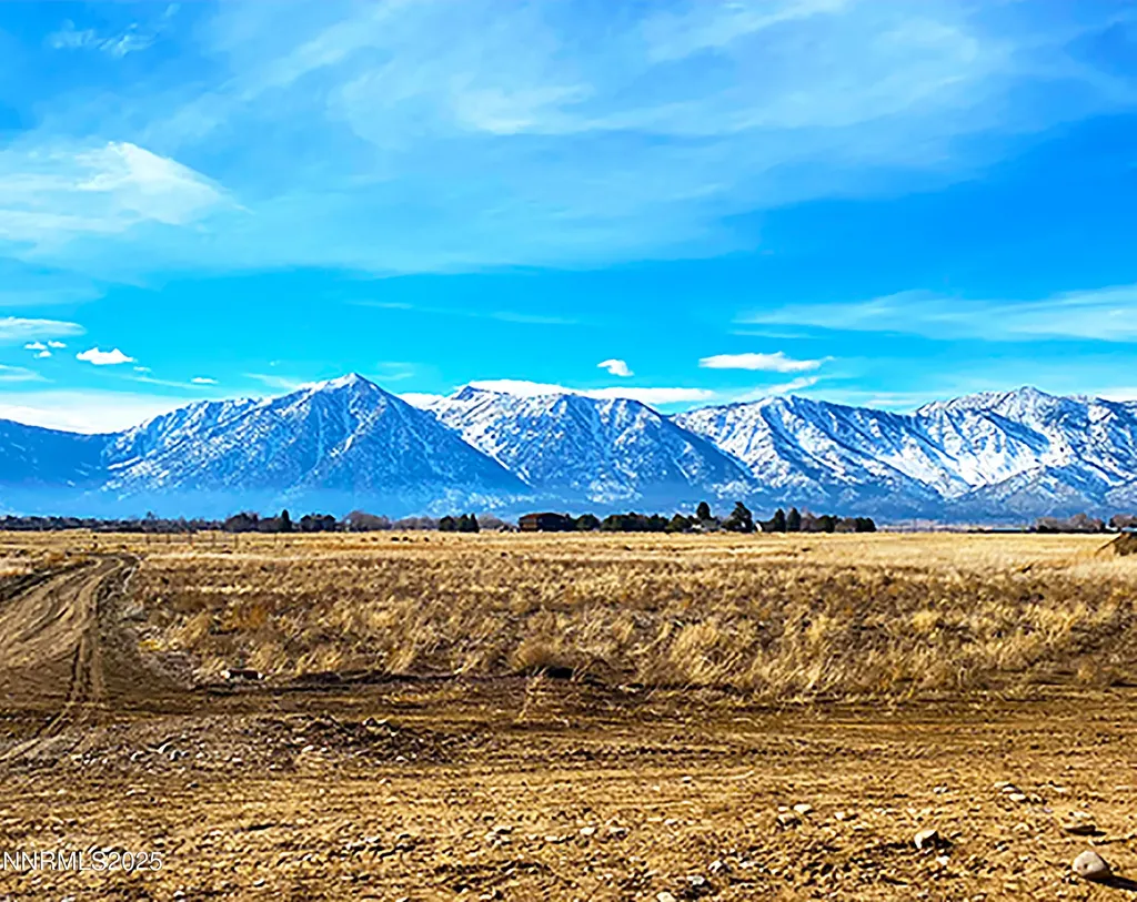 1100 Wyatt Gardnerville NV 89460