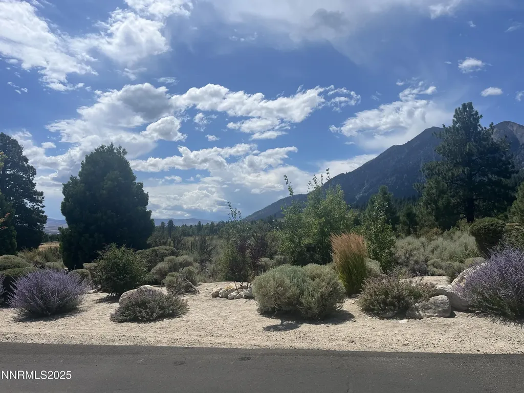 233 Sierra Country Gardnerville NV 89460