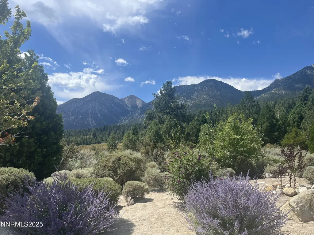 233 Sierra Country Gardnerville NV 89460