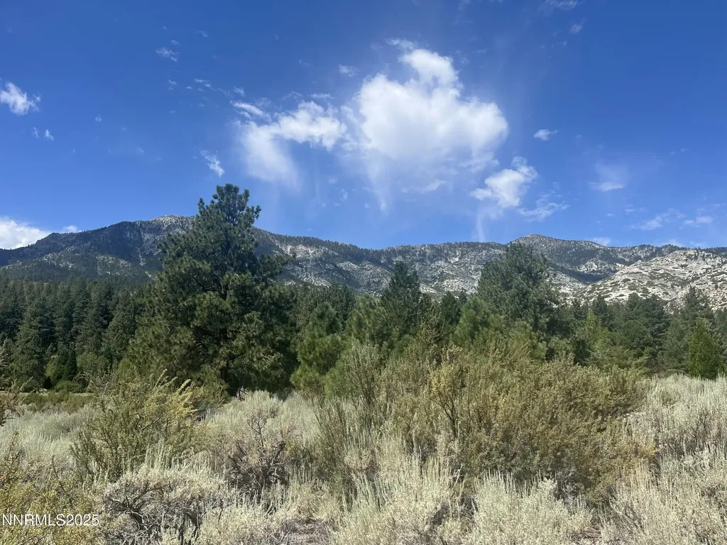 233 Sierra Country Gardnerville NV 89460