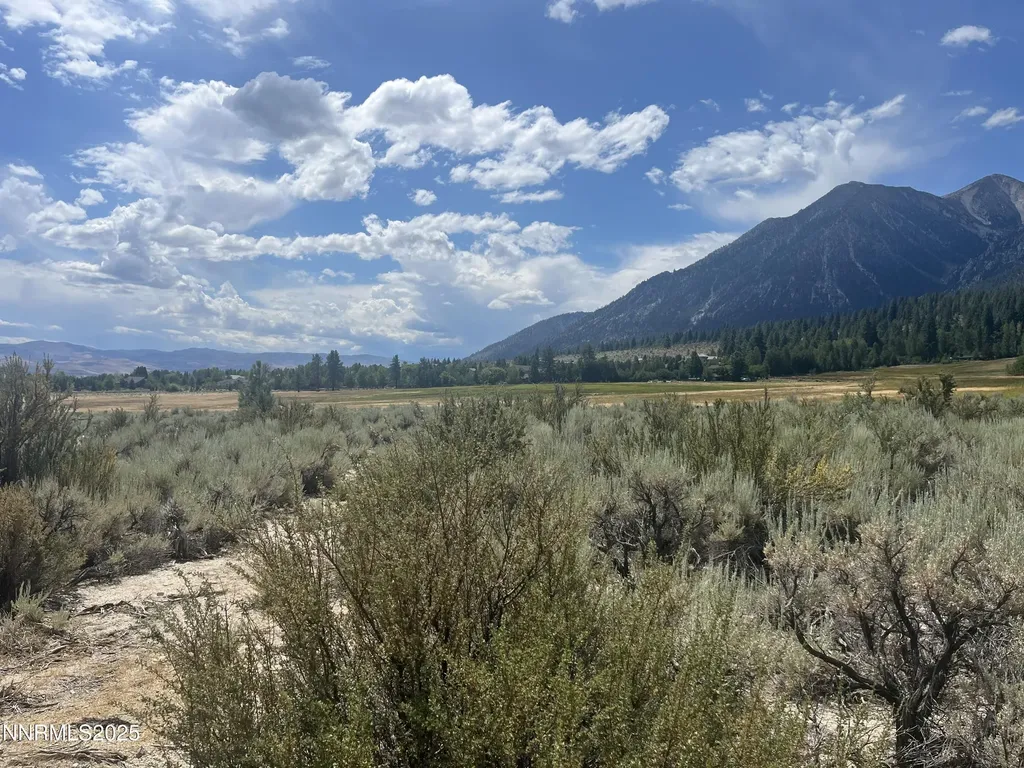 233 Sierra Country Gardnerville NV 89460
