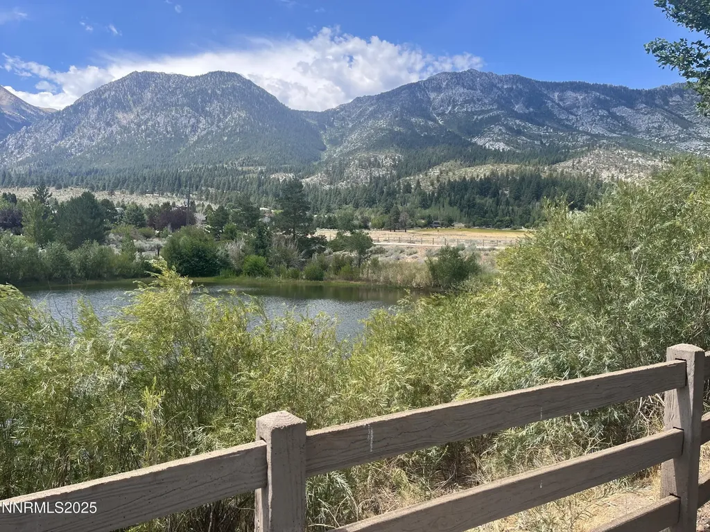 233 Sierra Country Gardnerville NV 89460