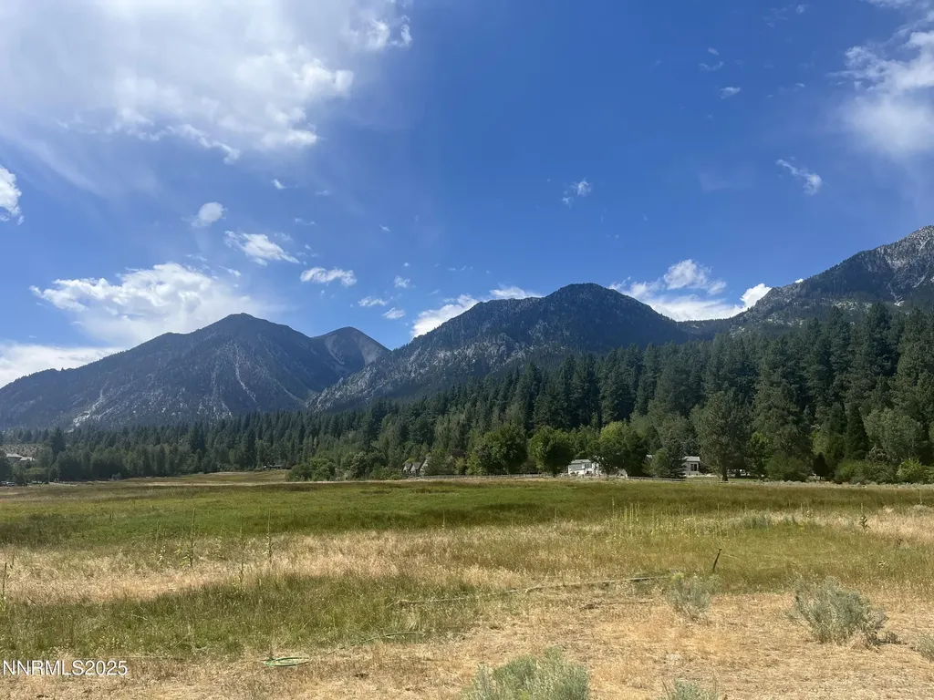 233 Sierra Country Gardnerville NV 89460