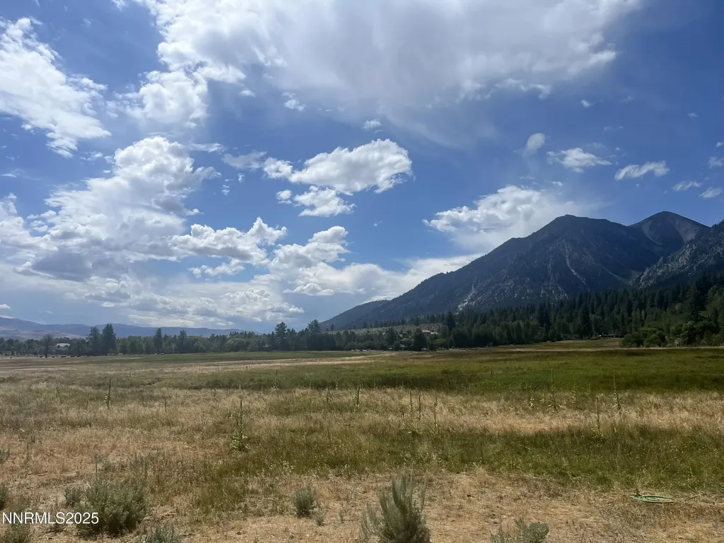 233 Sierra Country Gardnerville NV 89460