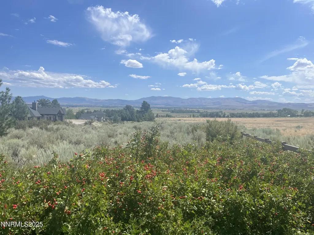 233 Sierra Country Gardnerville NV 89460