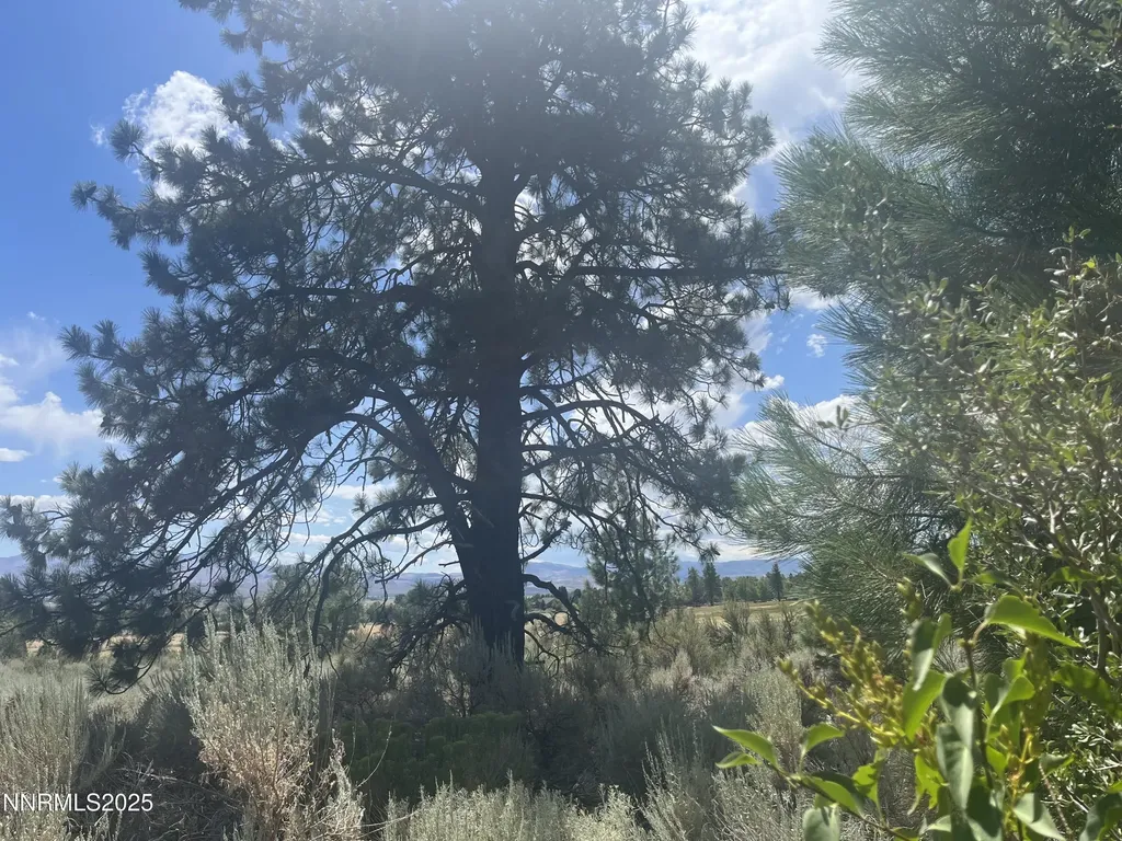 233 Sierra Country Gardnerville NV 89460