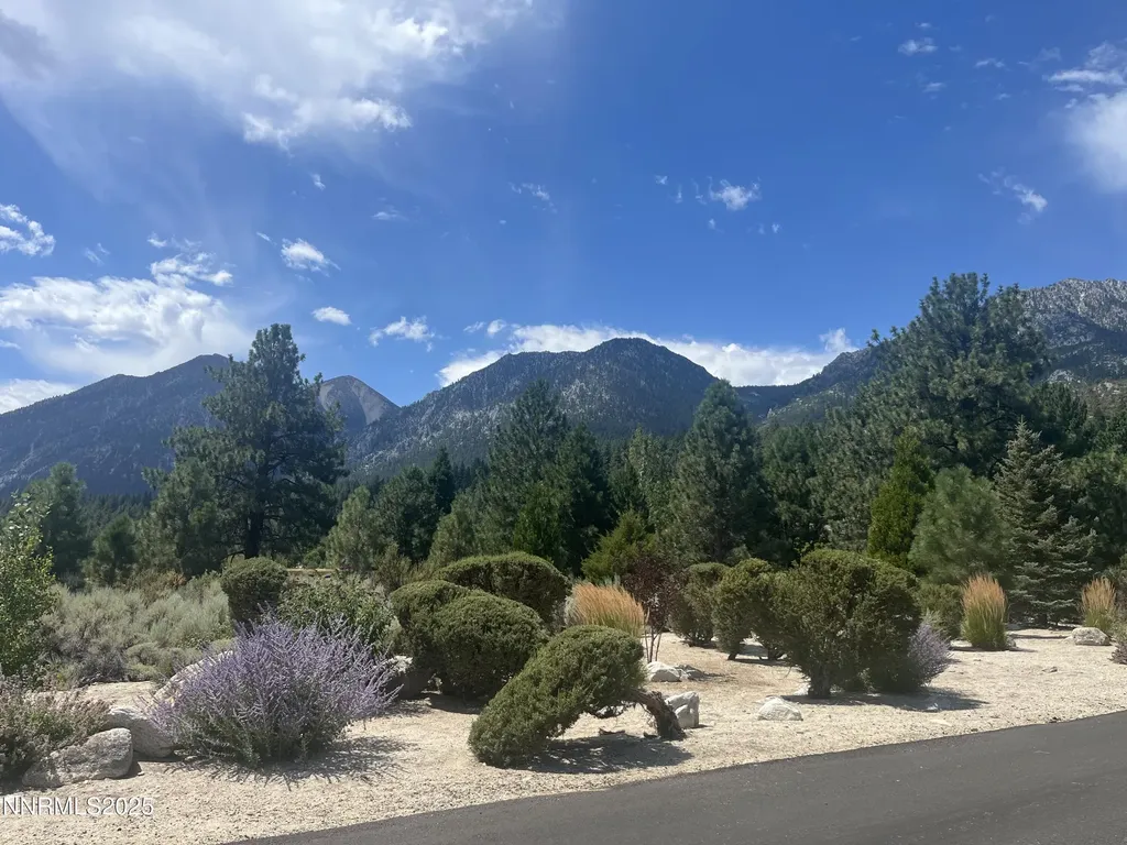 233 Sierra Country Gardnerville NV 89460