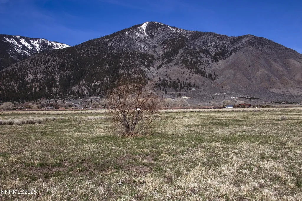 004 Deerhaven Genoa NV 89411