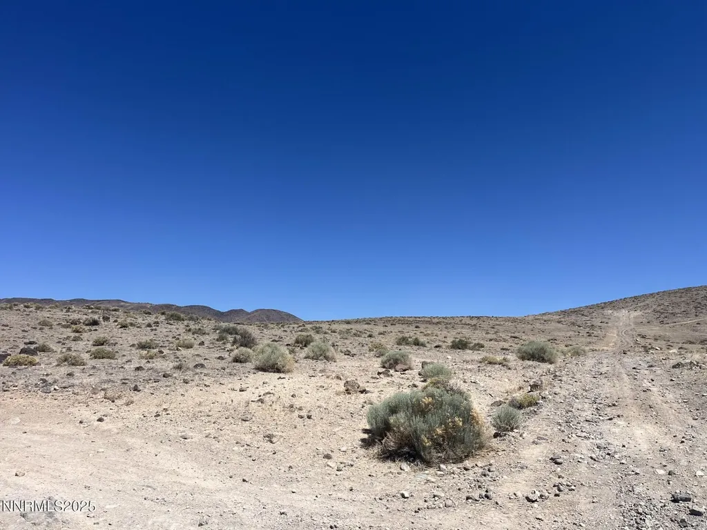 8800 Wildflower Stagecoach NV 89429