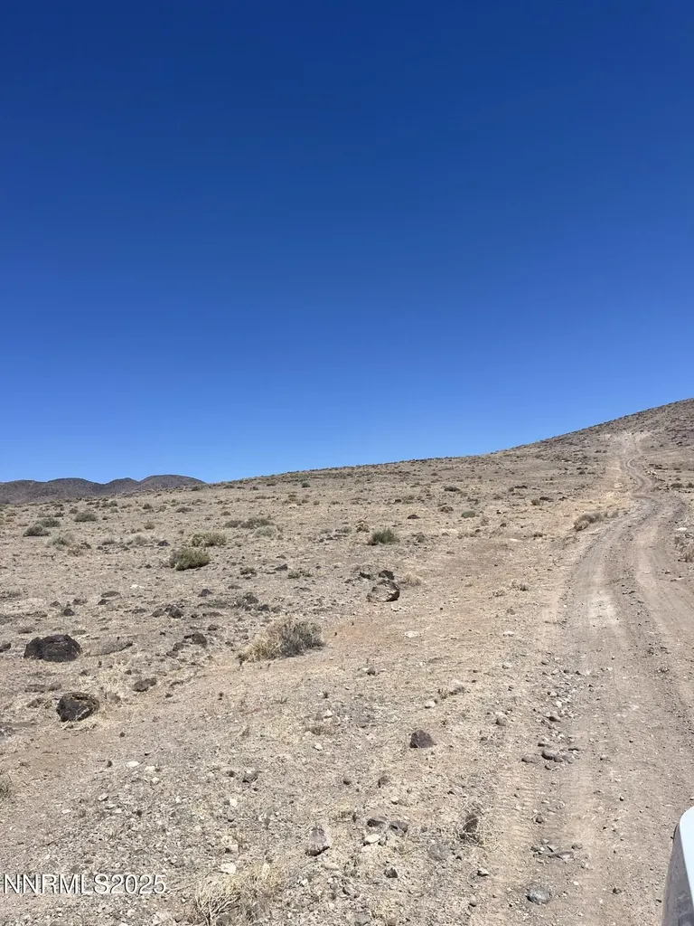 8800 Wildflower Stagecoach NV 89429