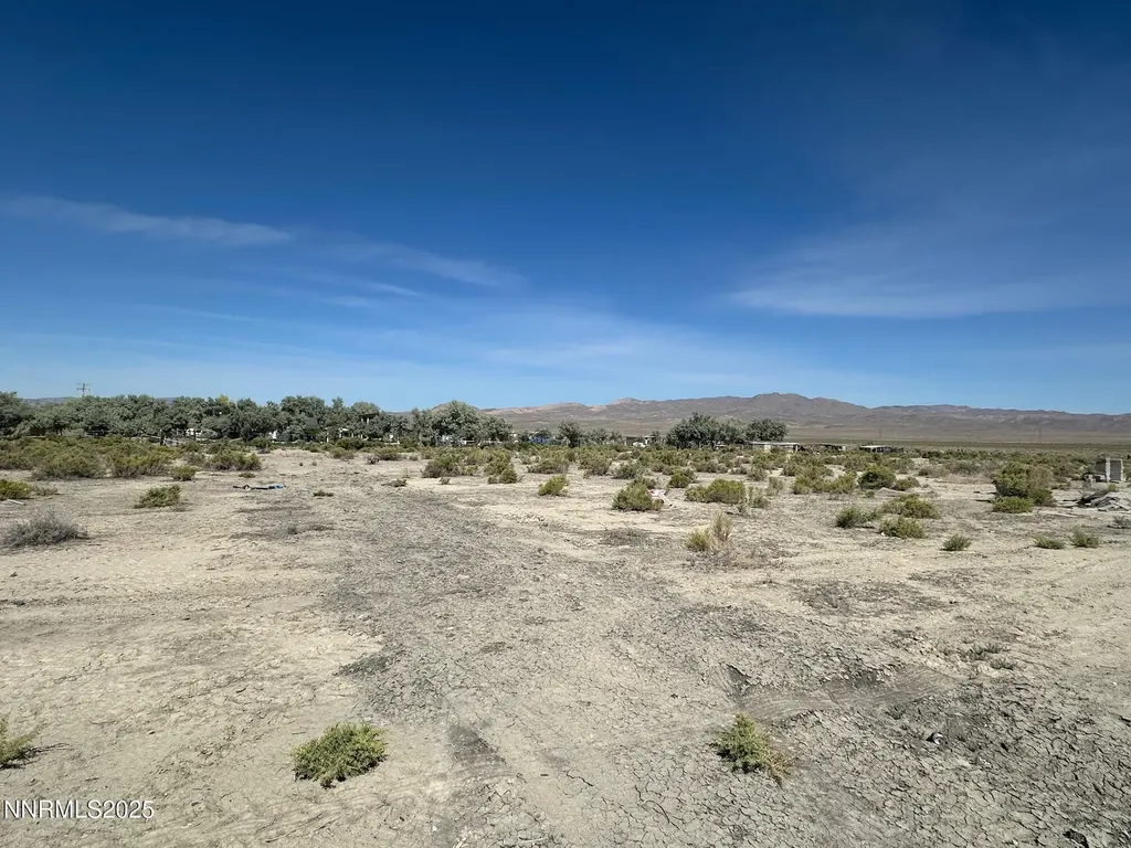 1100 Horseshoe Bend Lovelock NV 89419