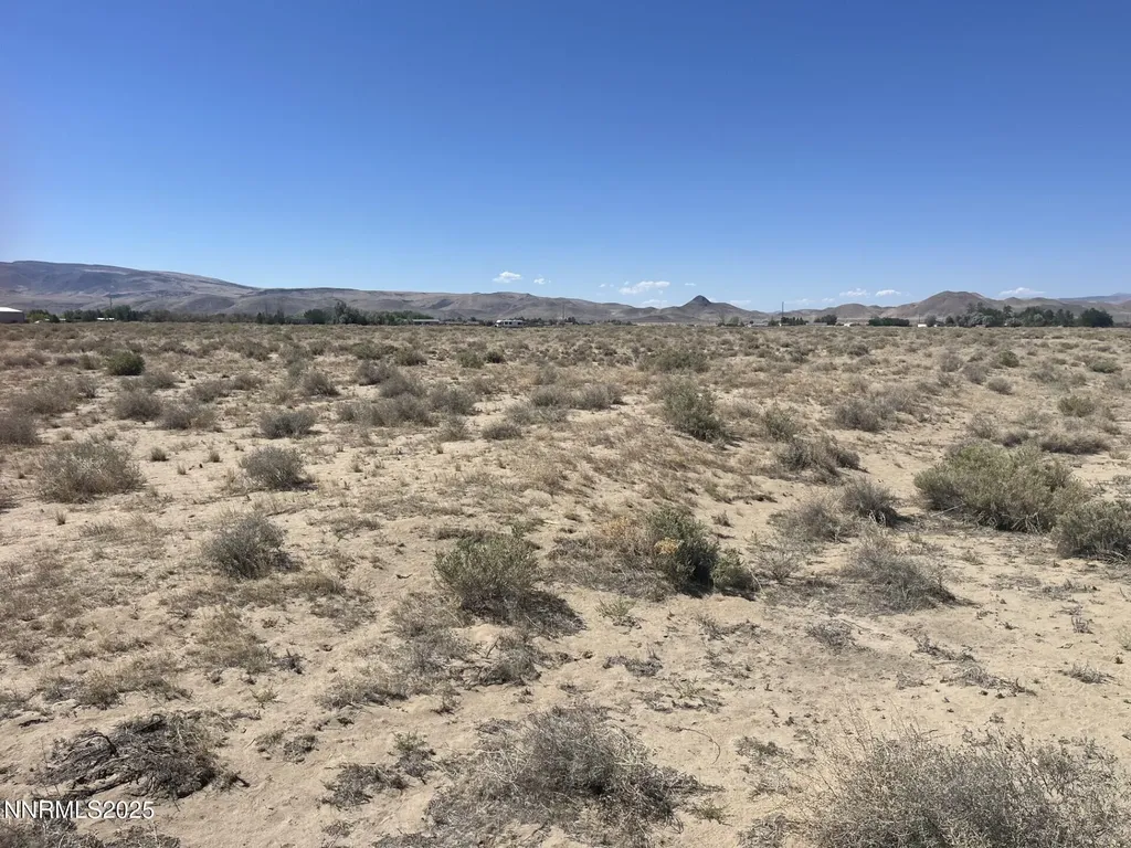 1655 Badger Silver Springs NV 89429