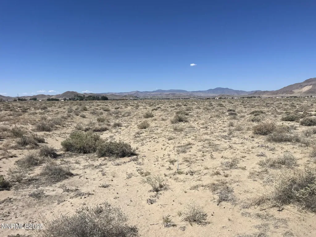 1655 Badger Silver Springs NV 89429