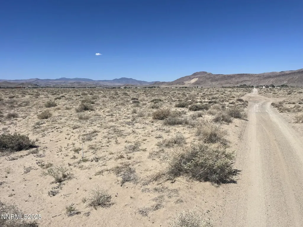 1655 Badger Silver Springs NV 89429