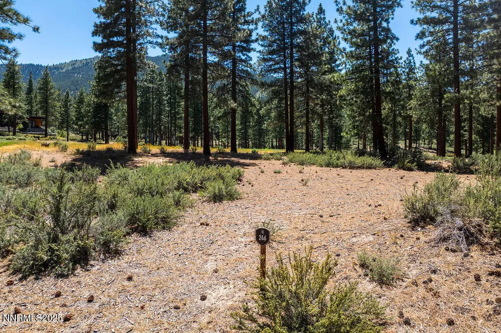 191 Cartwright Carson City NV 89705