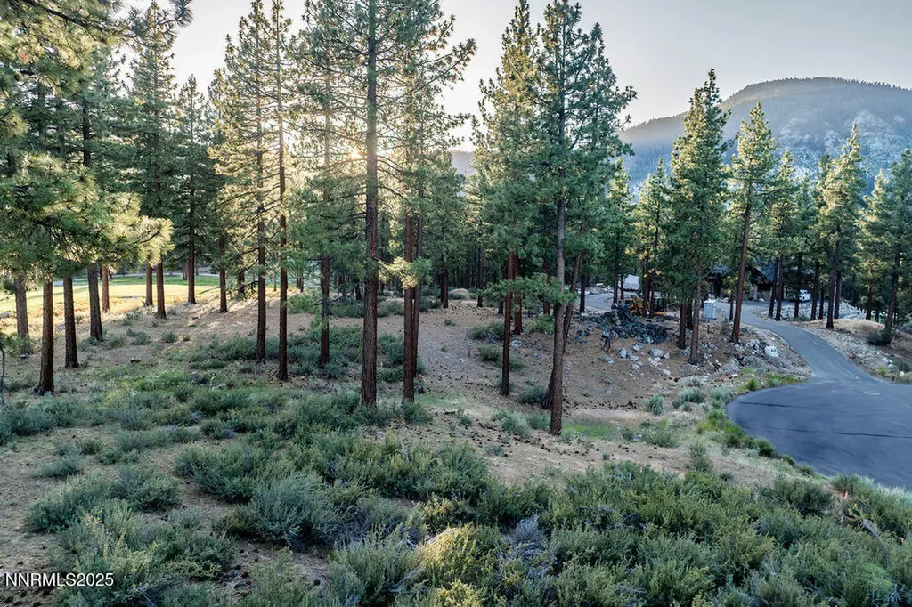 191 Cartwright Carson City NV 89705