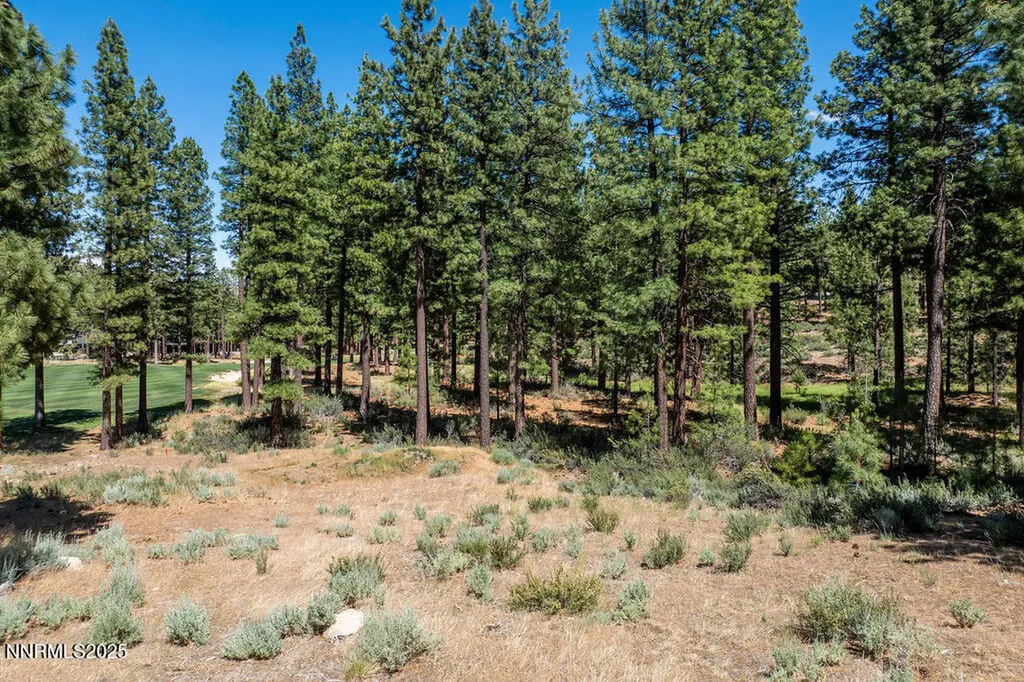 191 Cartwright Carson City NV 89705
