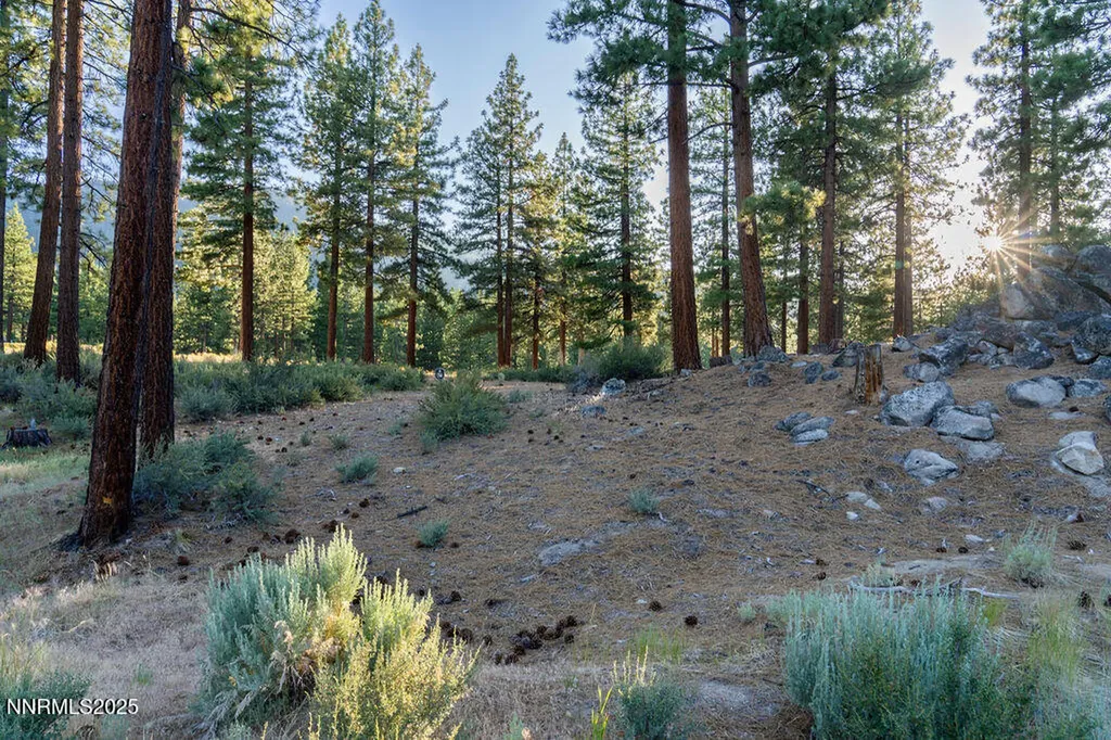 191 Cartwright Carson City NV 89705