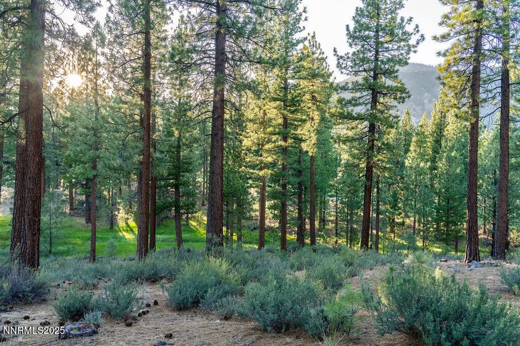 191 Cartwright Carson City NV 89705