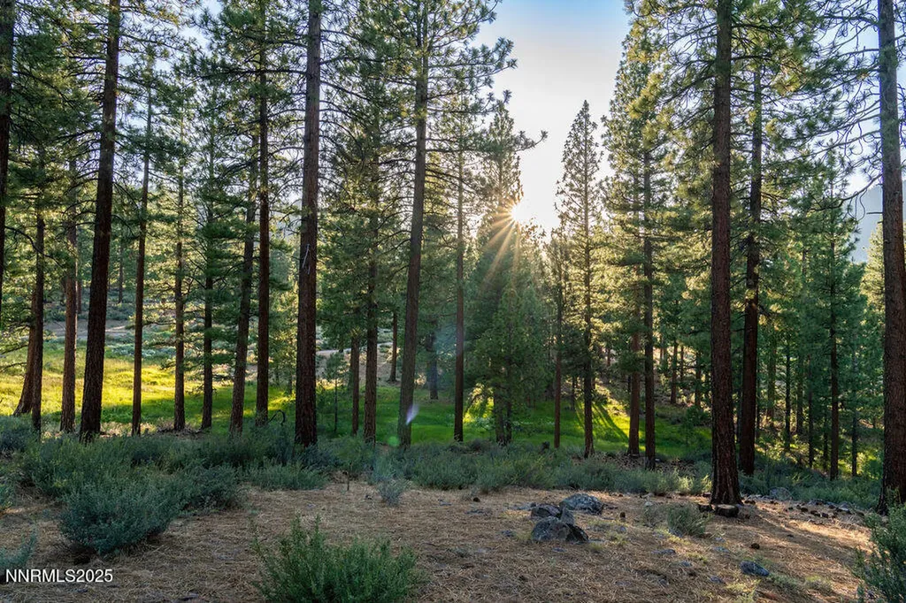 191 Cartwright Carson City NV 89705
