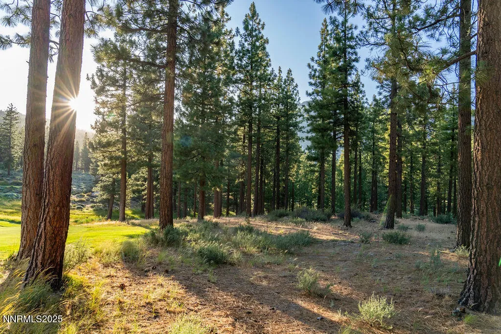 191 Cartwright Carson City NV 89705
