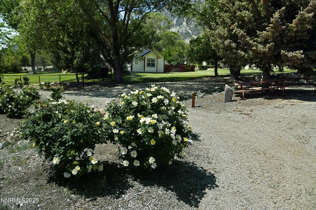 775 Foothill Gardnerville NV 89460