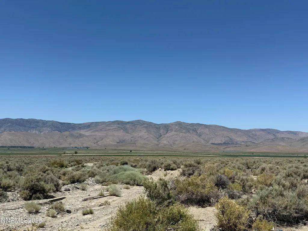 Tbd Fenceline Road Gardnerville NV 89410