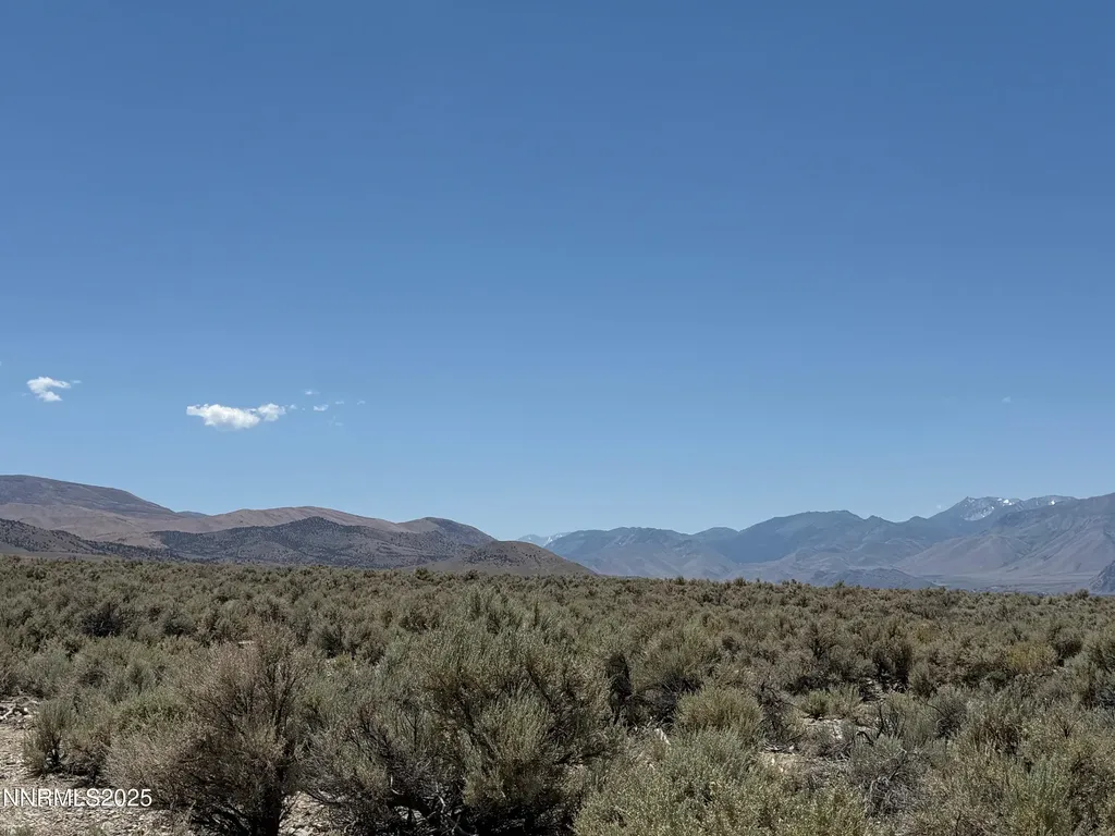 Tbd Fenceline Road Gardnerville NV 89410
