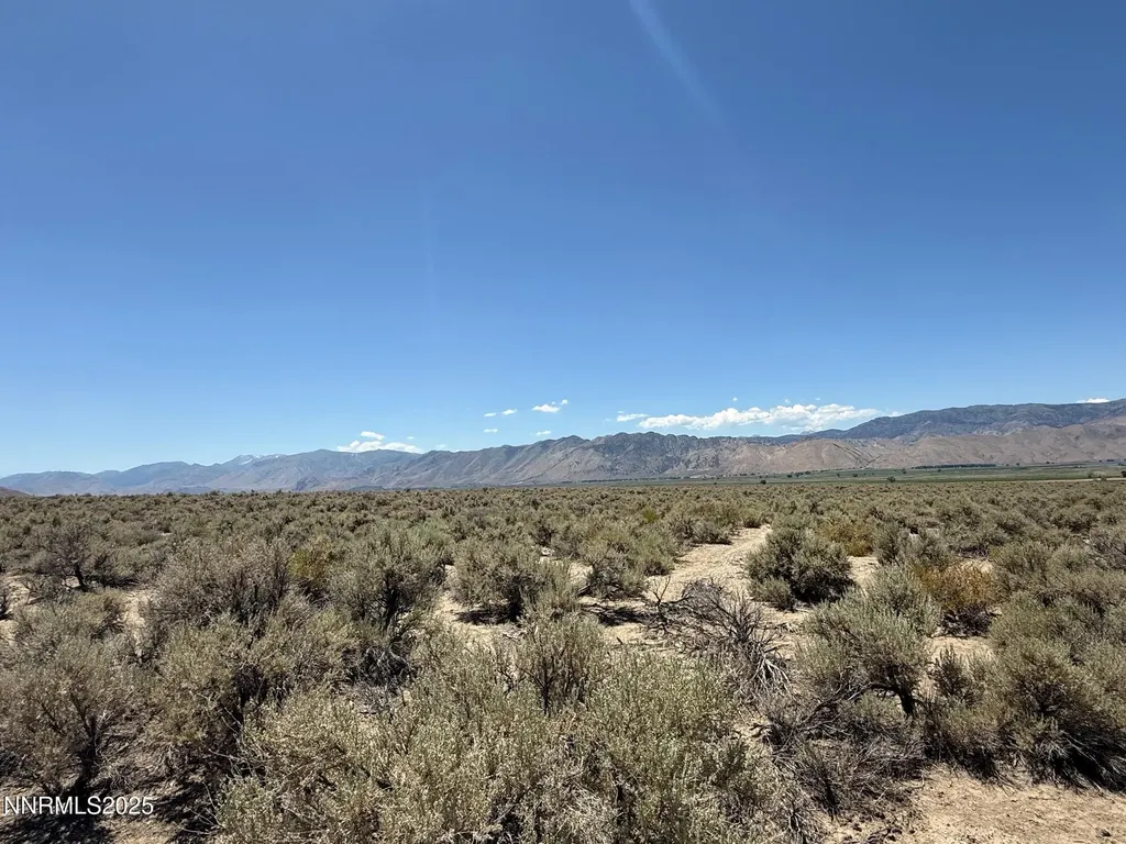 Tbd Fenceline Road Gardnerville NV 89410