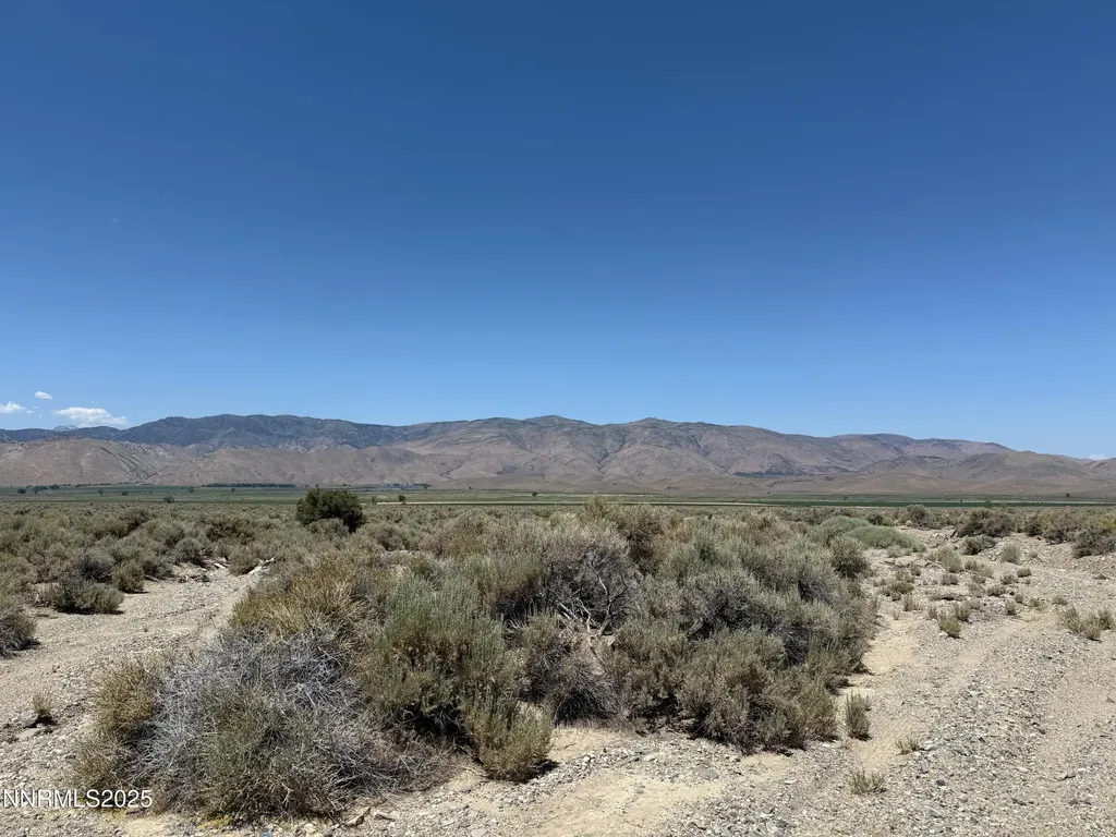 Tbd Fenceline Road Gardnerville NV 89410