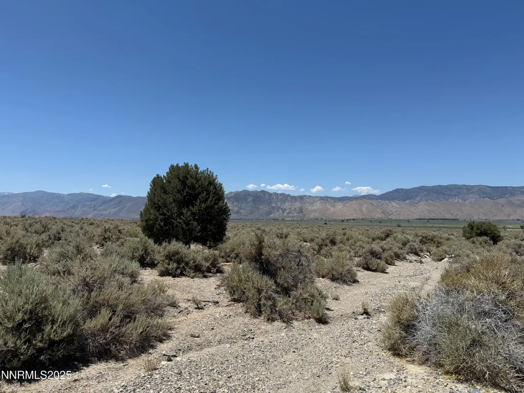 Tbd Fenceline Road Gardnerville NV 89410